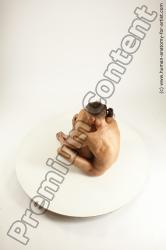 Nude Woman - Man White Sitting poses - simple Athletic Short Blond Sitting poses - ALL Multi angles poses Realistic